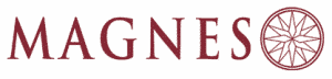 Magnes Group Logo