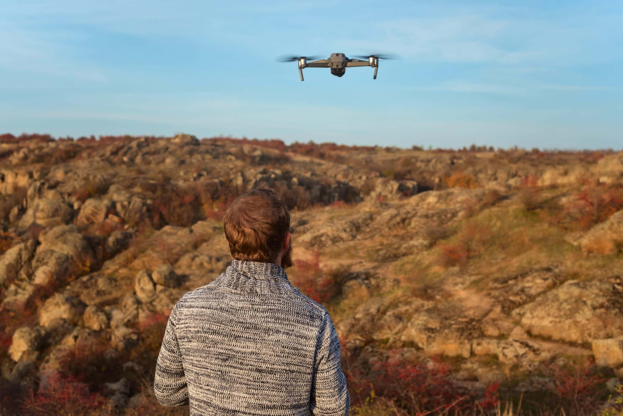 Drones, Trees And Wildlife Coverdrone Denmark