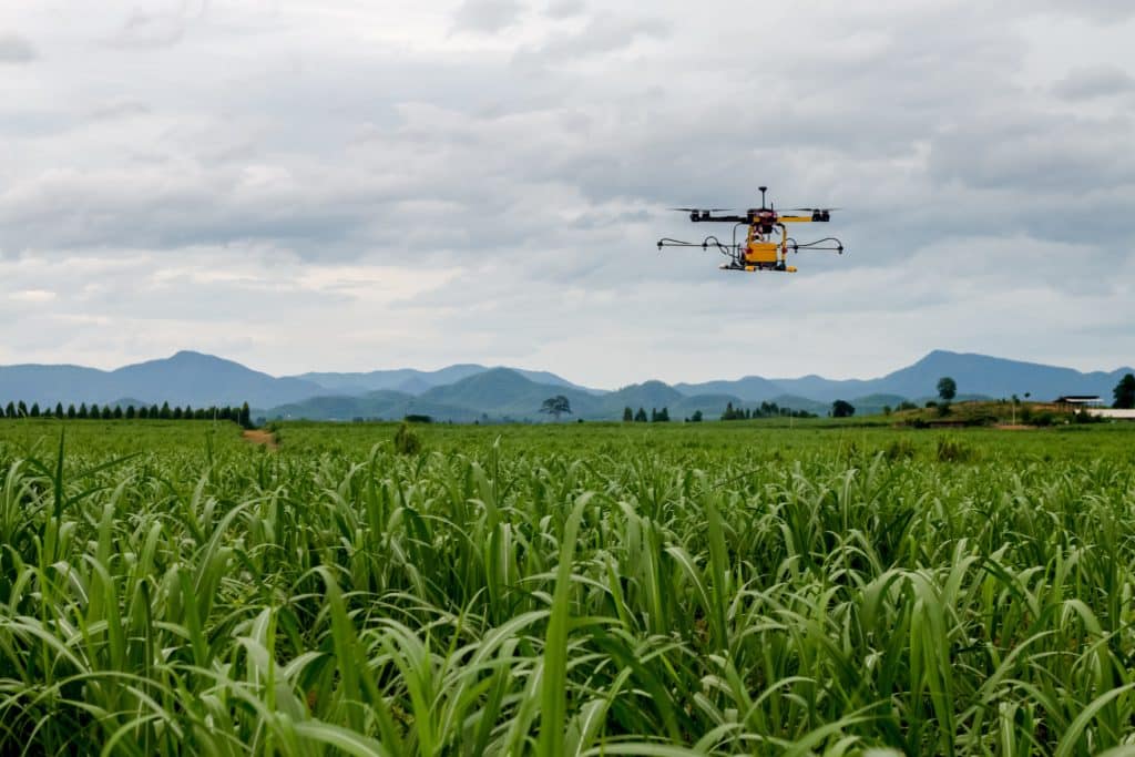 Drones For Agriculture Case Study | Coverdrone