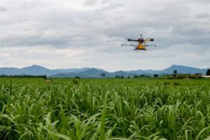 Agricultural Drone Monitoring Crop Growth