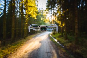 DJI Mavic Mini In Forest