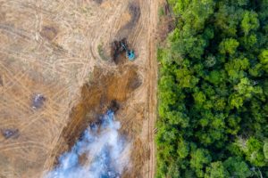 Aerial Photograph of Deforestation