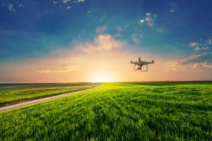 Drone Flying Above Corn Field