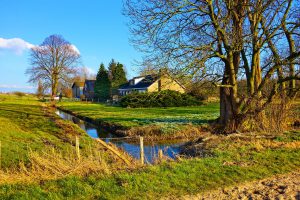 Grassy Field with River