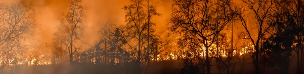 Early detection of natural disasters