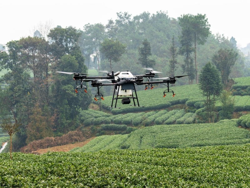 Farm drone hovering over crops - 10 Ways Drones Are Used in Farming and Agriculture