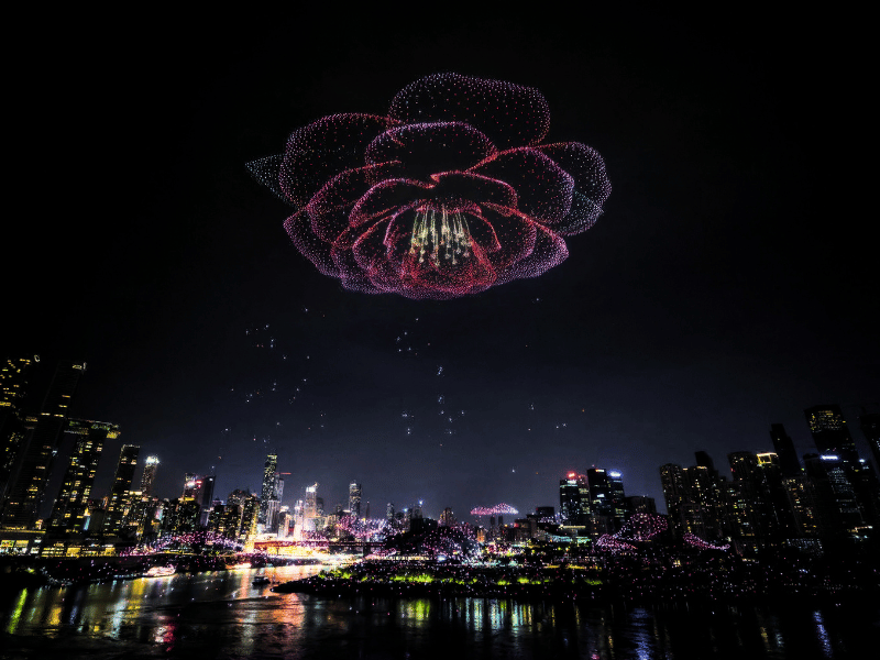 Giant Camellia from Chongqing Drone Show