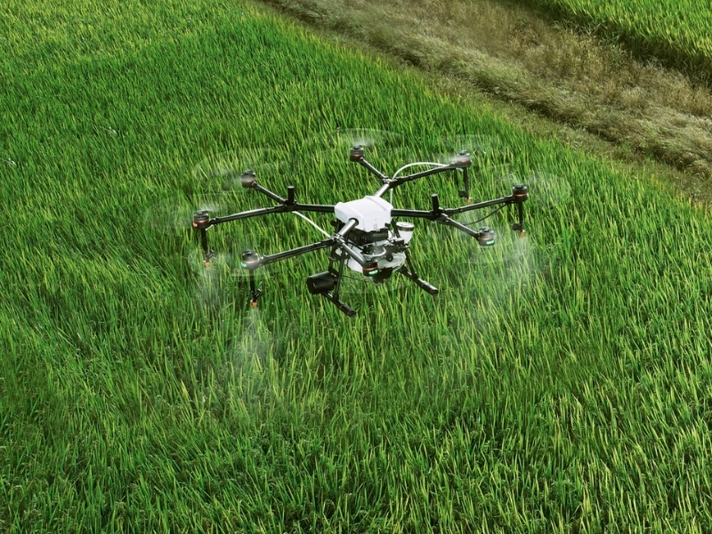 A specialist drone spraying crops on a farm